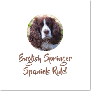 English Springer Spaniels Rule! Posters and Art